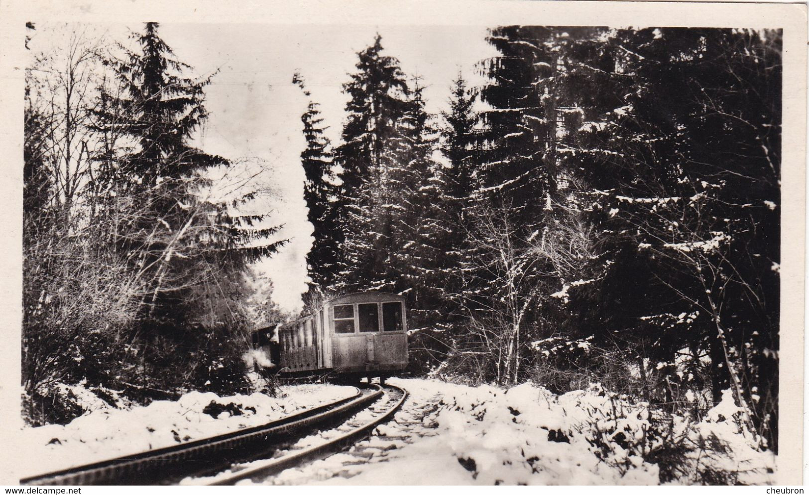 74. SAINT GERVAIS LES BAINS. LE TRAMWAY T.B.M. EN FORÊT. ANNEE 1949 + TEXTE - Saint-Gervais-les-Bains