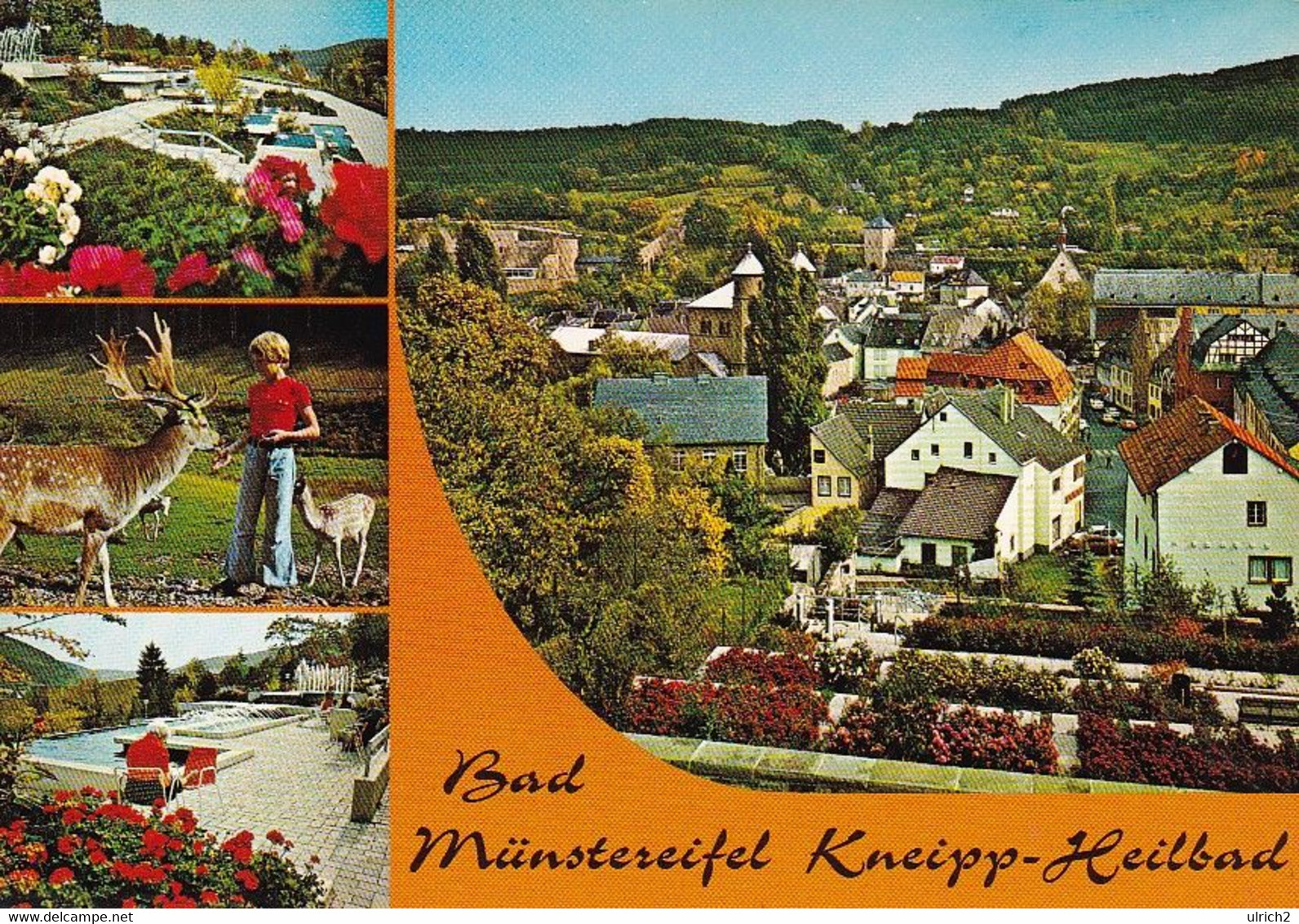 AK Bad Münstereifel - Mehrbildkarte - Wehrgang Wildfreigehege Wasserspiele (53250) - Bad Muenstereifel