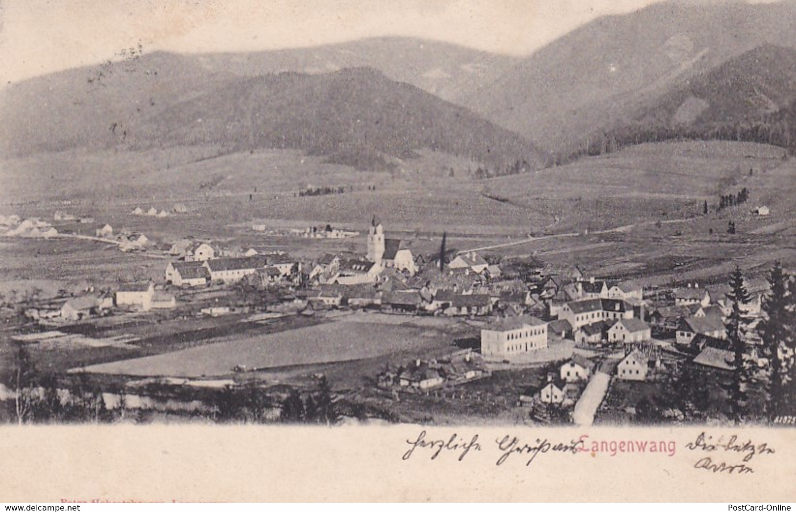 2967 - Österreich - Steiermark , Langenwang , Panorama - Gelaufen 1901 - Langenwang