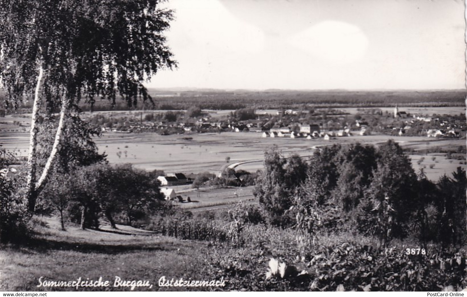 2969 - Österreich - Steiermark , Burgau , Sommerfrische , Panorama - Gelaufen - Fürstenfeld