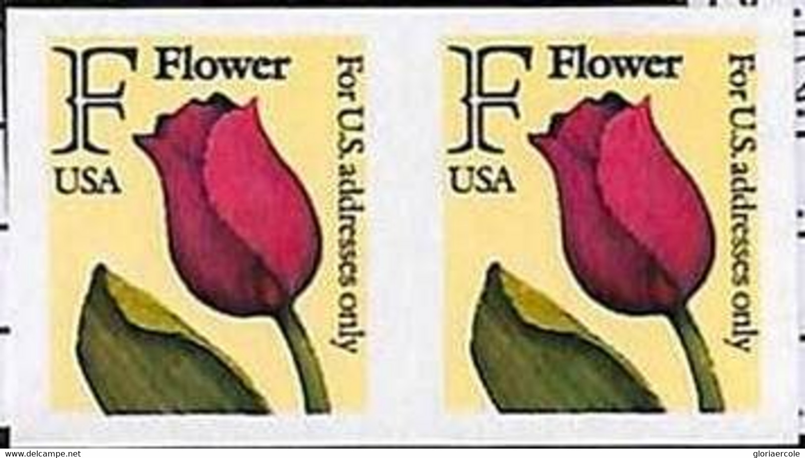 94800c -  USA - STAMPS - SC #  2518a  IMPERF PAIR - MNH  Flowers - Errors, Freaks & Oddities (EFOs)