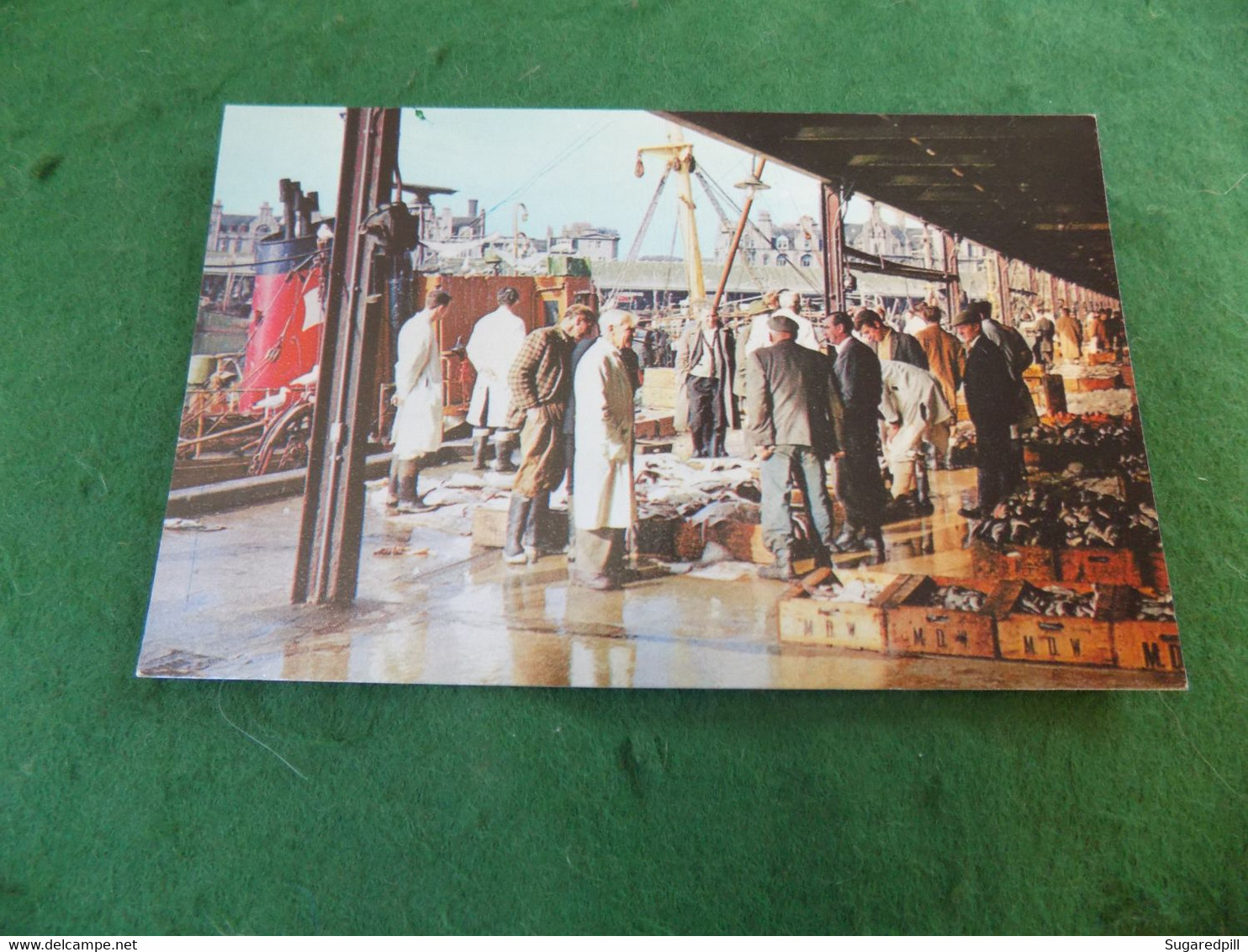 VINTAGE SCOTLAND: Aberdeen Fish Market Colour D&H - Aberdeenshire