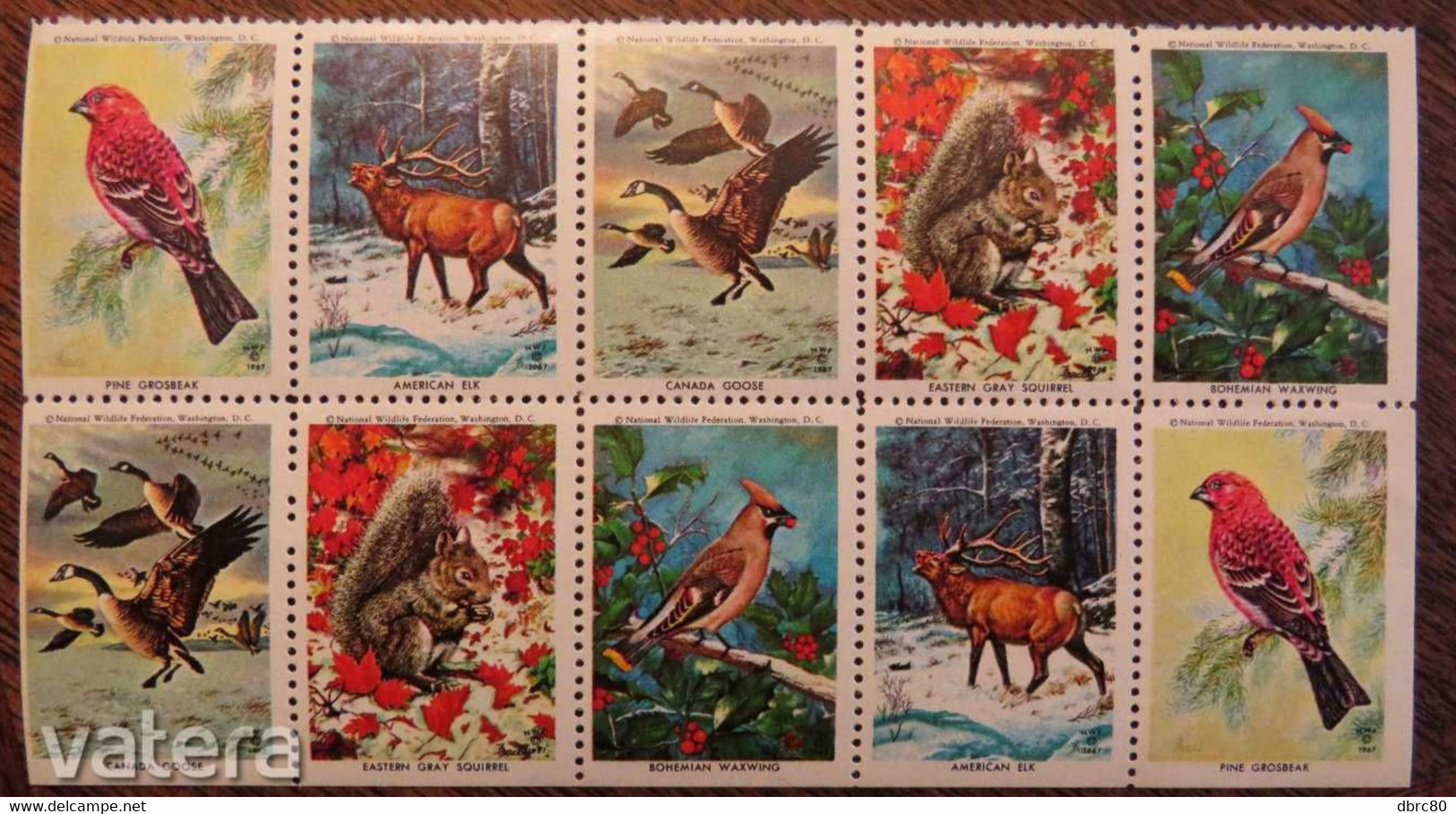 United States, USA, National Wildlife, Birds, Vignette, Full Sheet - Ganze Bögen