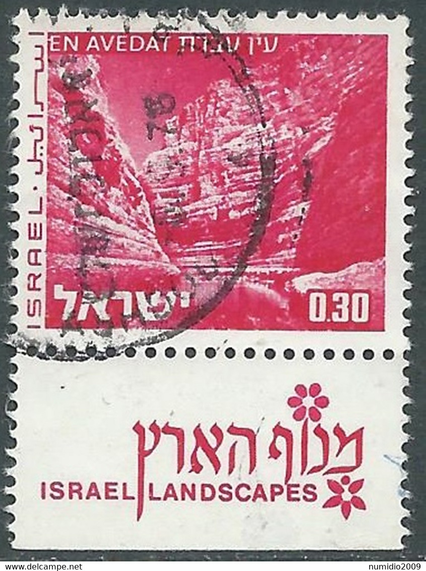 1975-79 ISRAELE USATO VEDUTE 30 A CON APPENDICE - RD40-6 - Oblitérés (avec Tabs)