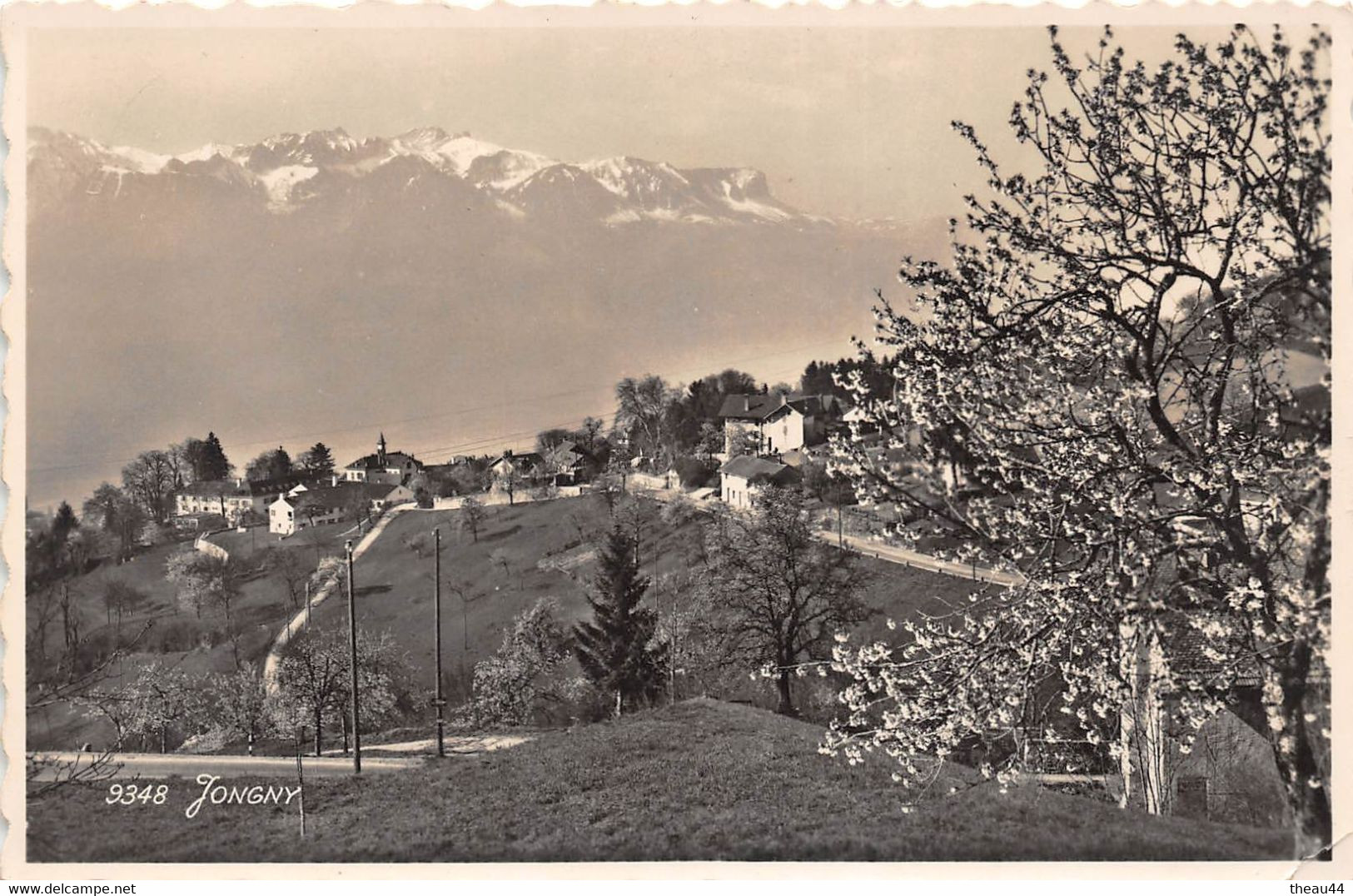 ¤¤   -    SUISSE   -  JONGNY   -  Carte-Photo    -   ¤¤ - Jongny