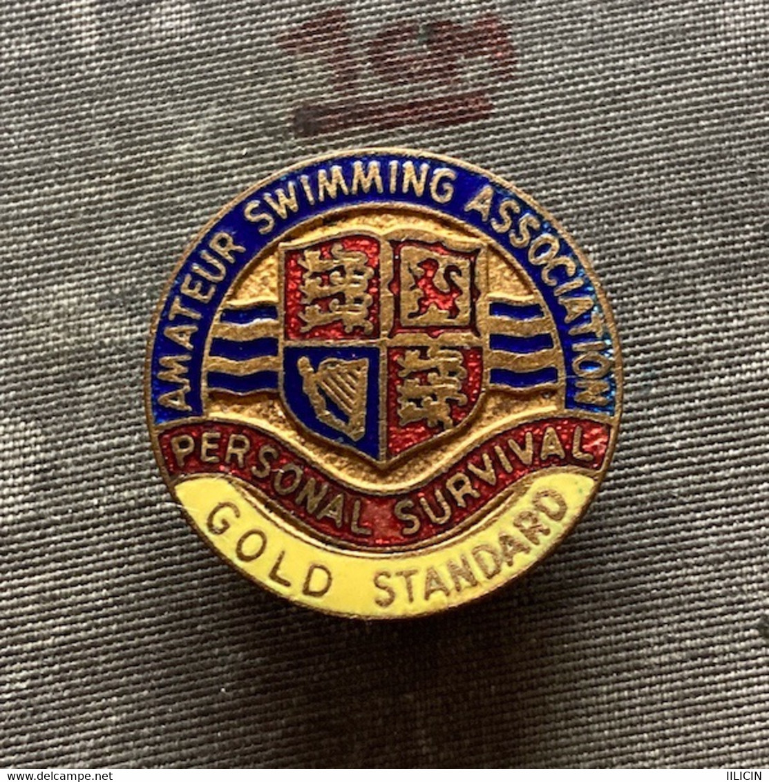 Badge Pin ZN009713 - England Amateur Swimming Association Federation - Natation