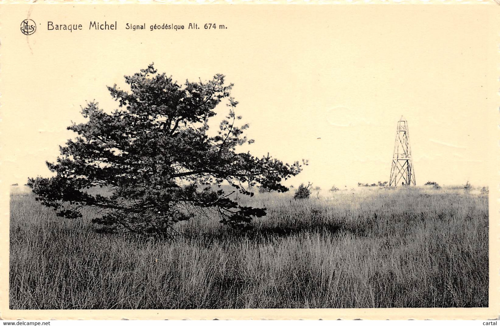 BARAQUE MICHEL - Signal Géodésique  Alt. 674 M. - Bullange - Bullingen