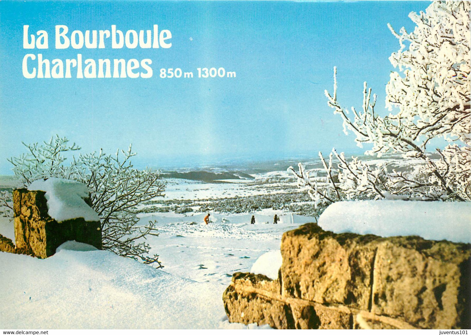 CPSM La Bourboule-Charlannes-Panorama Pour Skieurs De Fond      L145 - La Bourboule