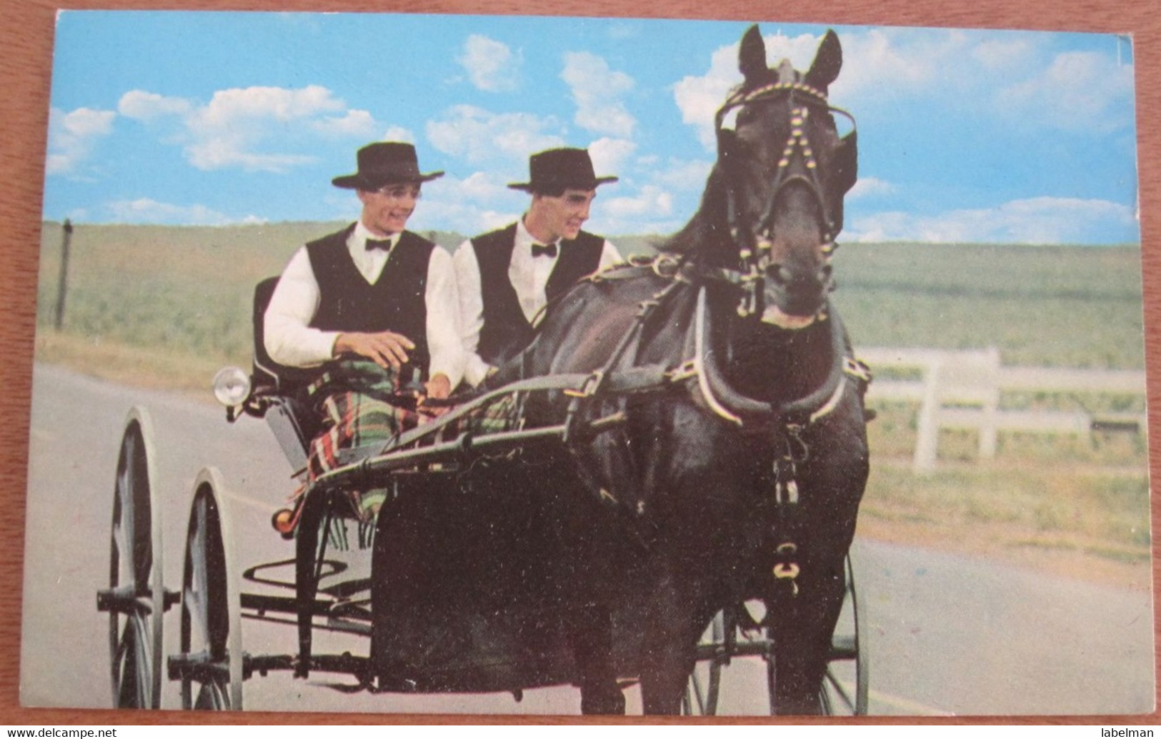 AMISH COUNTRY COURTING BUGGY CARD USA UNITED STATES POST ANSICHTSKARTE CARTOLINA POSTCARD PC STAMP - San Jose