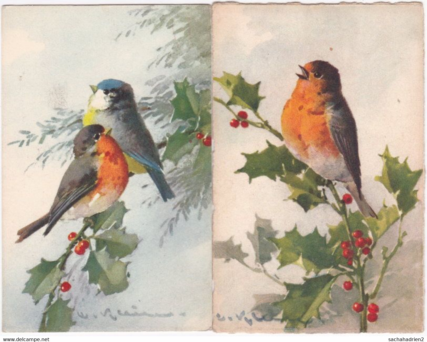 Rouge-gorge Et Houx. 2 Cartes - Pájaros