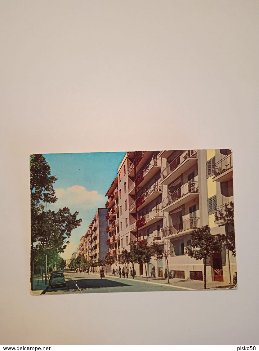 ITALIA-PUGLIA-MOLFETTA-VIALE PIO XI-FG-1970 - Molfetta