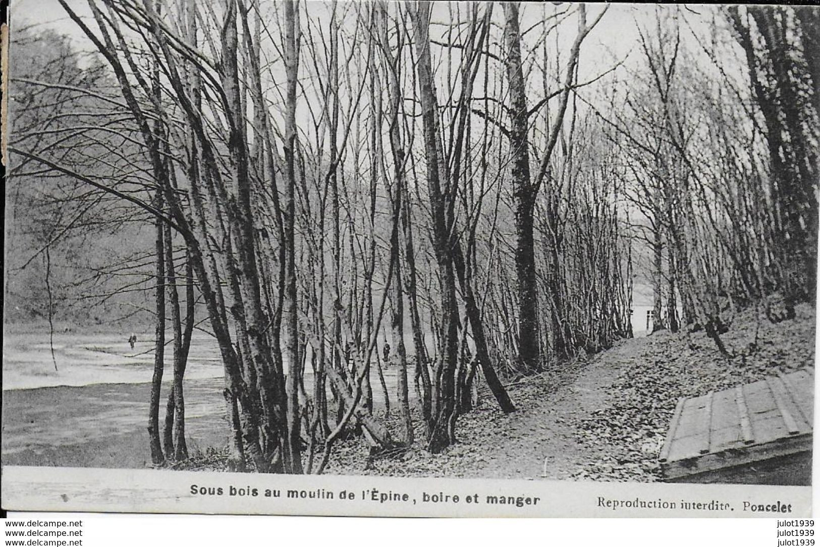 -30% . LESSINES . BOUILLON ..-- MOULIN De L' Epine . Sous - Bois . 1912 Vers LESSINES ( Melle DRUMAUX ) . Voir Verso . - Lessen