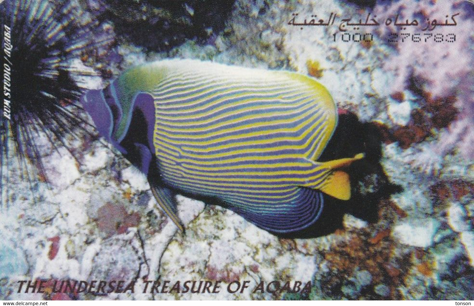 Jordan, JO-ALO-0012A, The Undersea Treasures Of Aqaba, Fish, 2 Scans.  Issued 02/98 - Jordanien