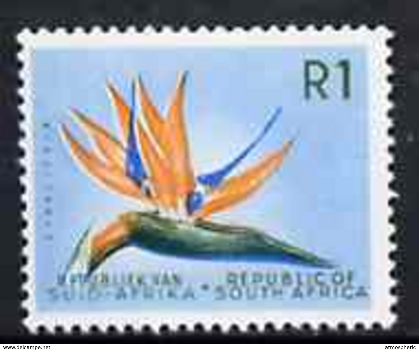 South Africa 1963 Strelitzia 1r (wmk RSA) U/M, SG 236 - Neufs