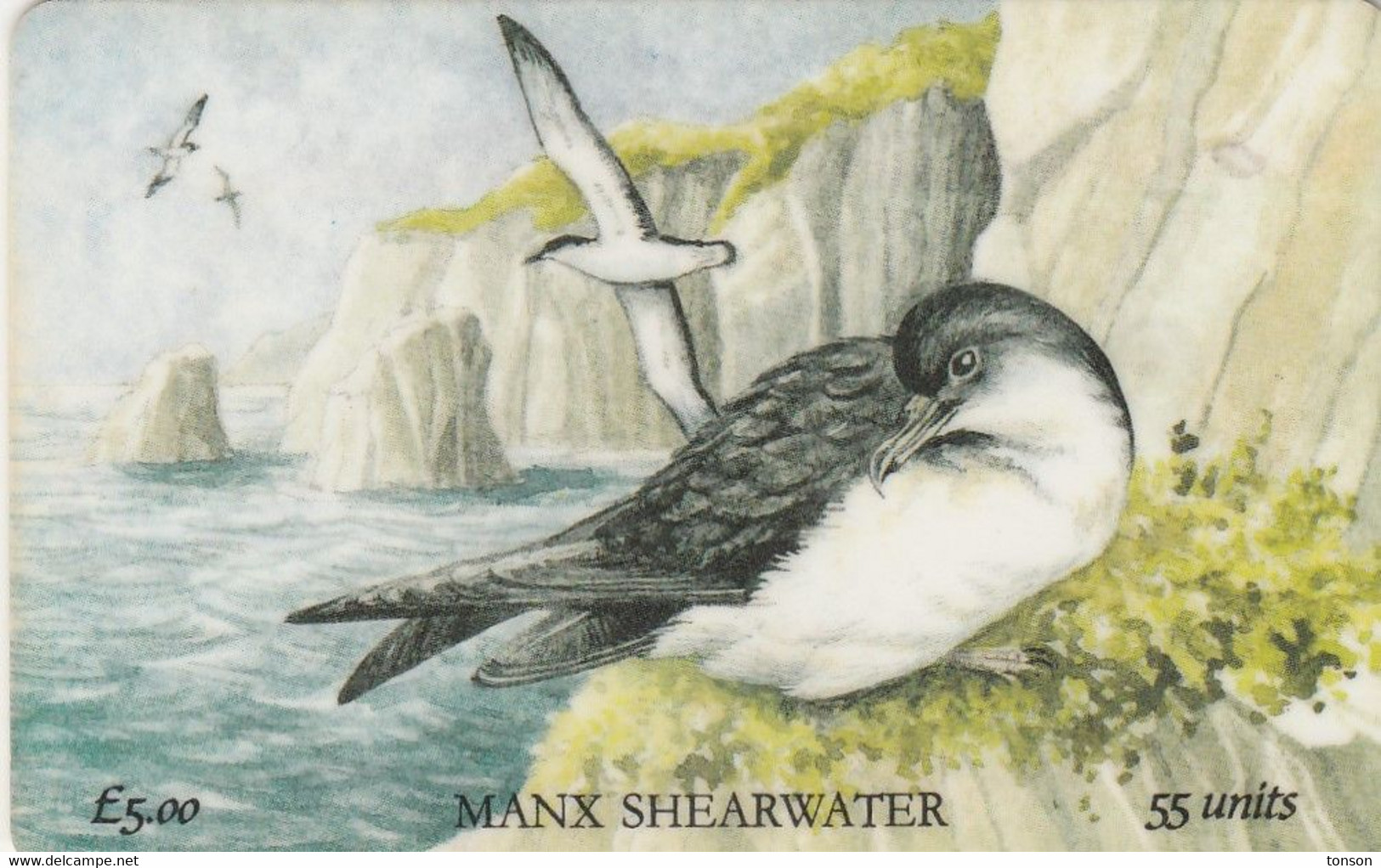 Isle Of Man, MAN 073, Manx Shearwater, Bird, 2 Scans. - Man (Eiland)