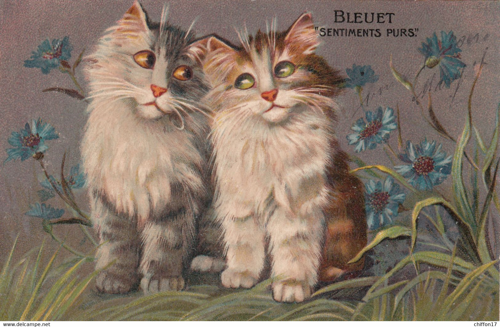 CPA   CHATS  Illustrateur BOULANGER   Le Langage Des Fleurs   LE BLEUET - Gatos