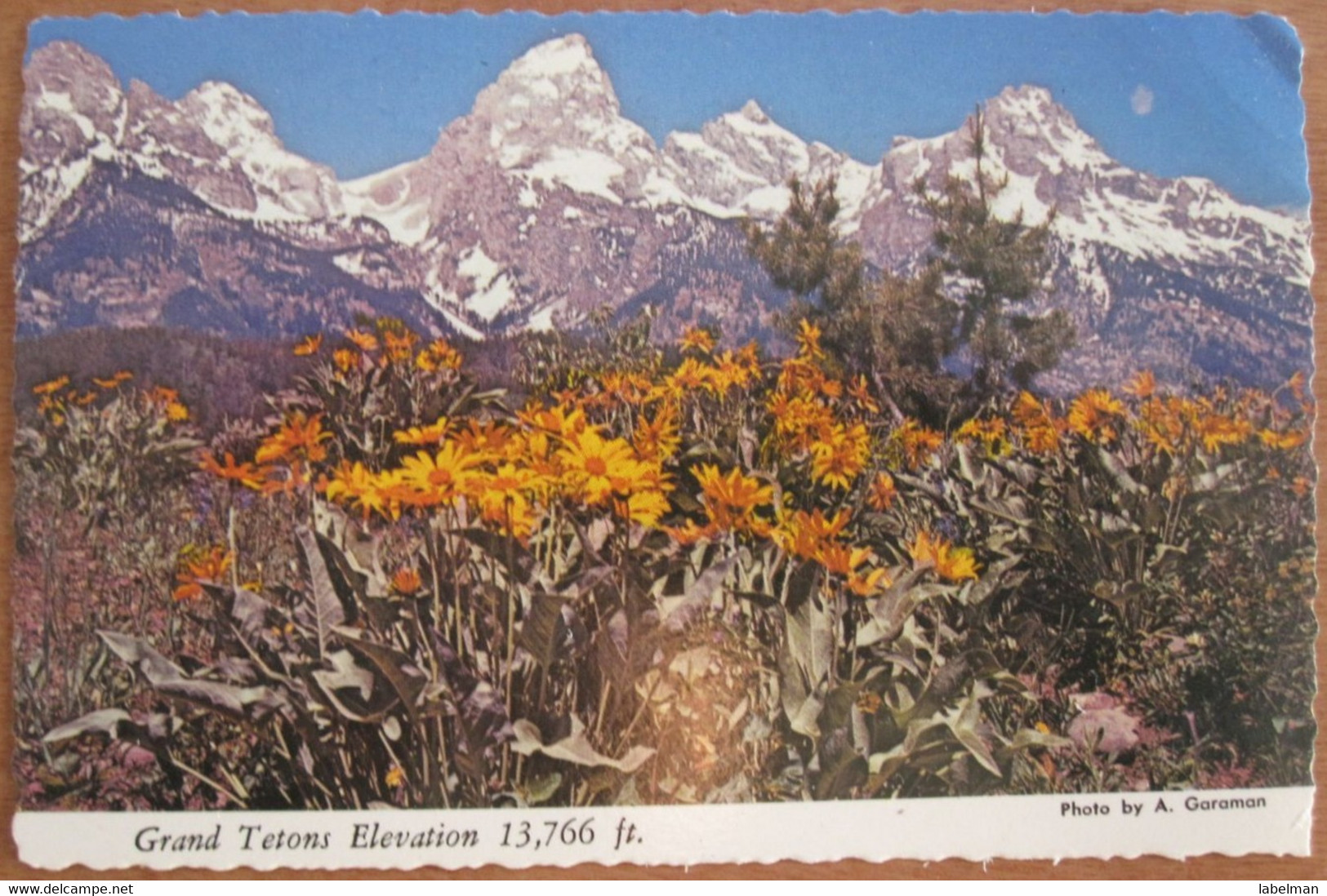 NATIONAL PARK GRAND TETONS WYOMING UNITED STATES CARD ANSICHTSKARTE CARTOLINA POSTCARD PC STAMP - Gillette