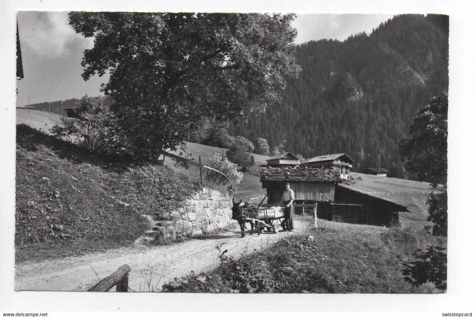 HABKERN Schwendi Mann Mit Esel-Fuhrwerk - Habkern