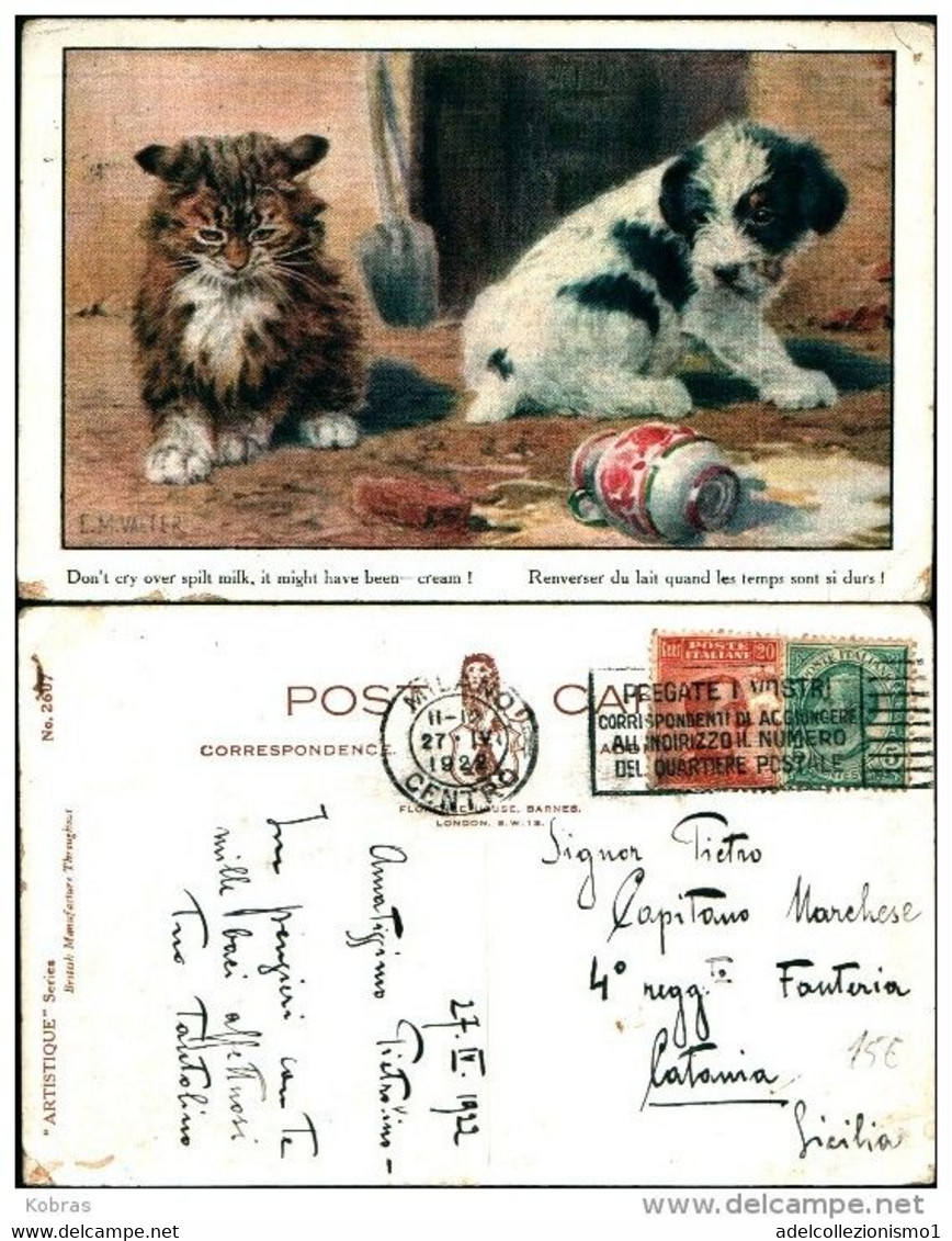 27001) Cartolina Firmata E. M. Valter-cane E Gatto Che Giocano-viaggiata 1922 - Valter, Fl. E.
