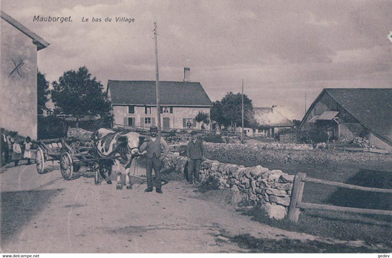 Mauborget VD, Bas Du Village, Attelage De Boeuf Au Char à échelles (5726) - Mauborget