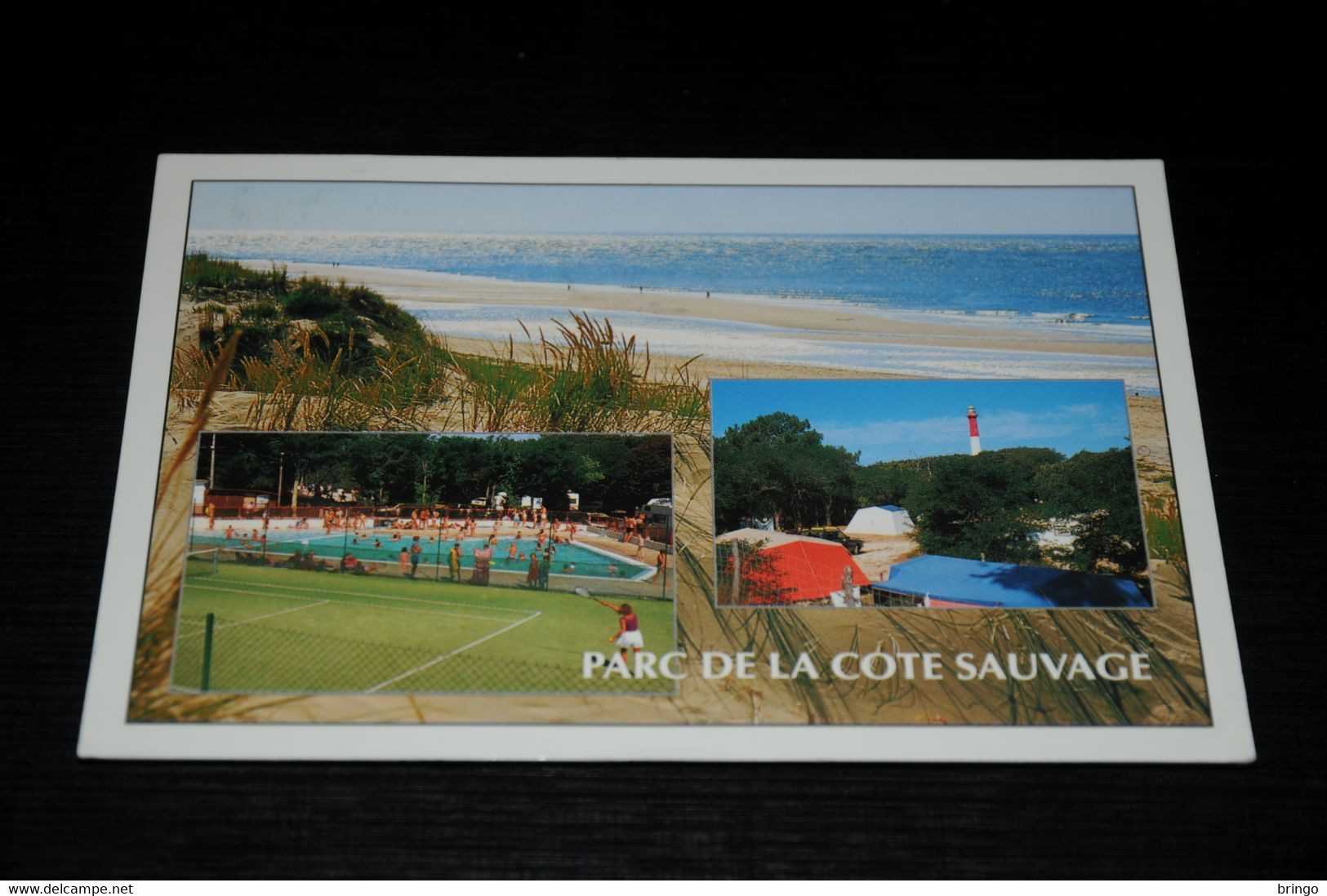 26281-                             PARC DE LA COTE SAUVAGE - Les Mathes