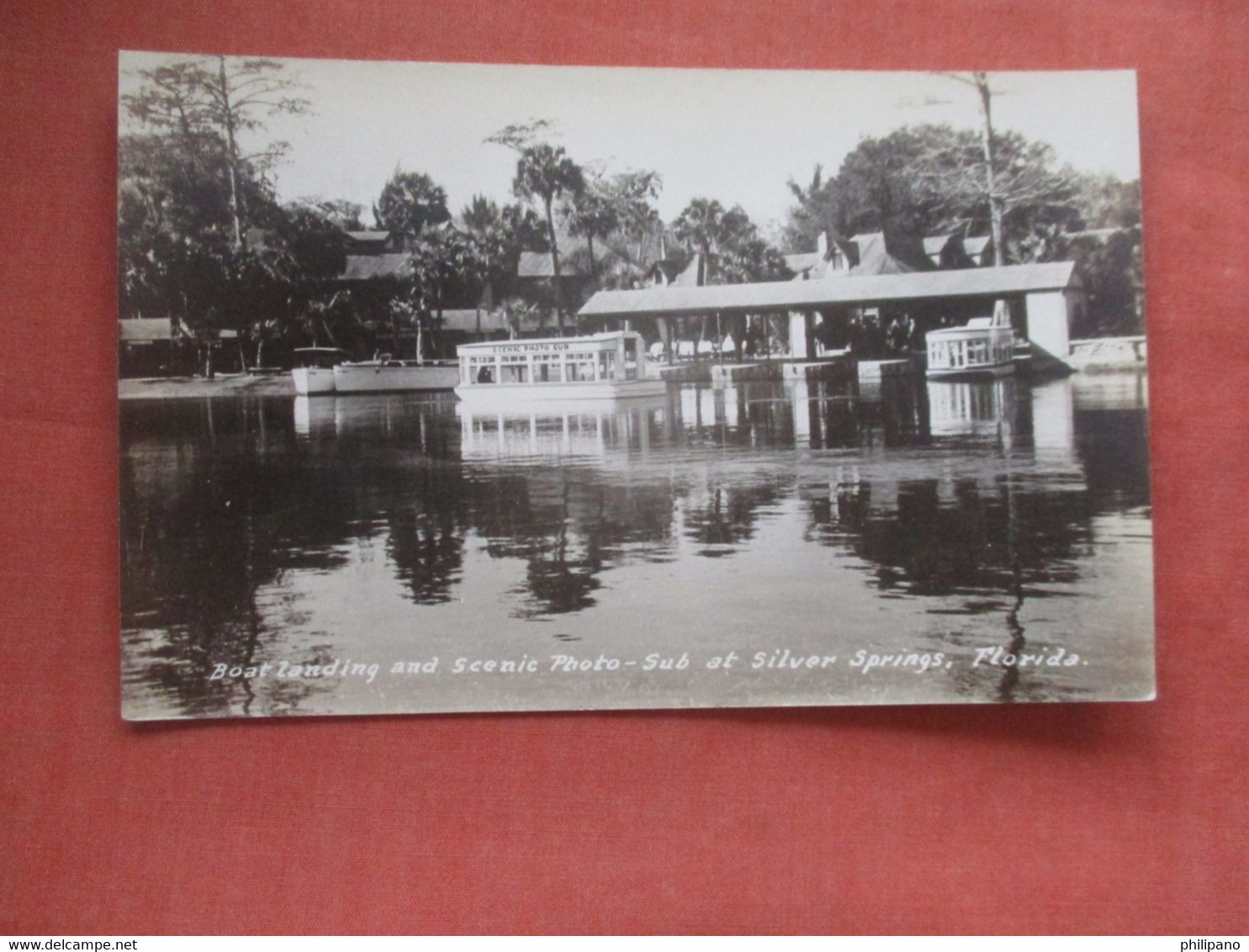 RPPC  Boat Landing    Silver Springs  Florida >   >    Ref 4546 - Silver Springs