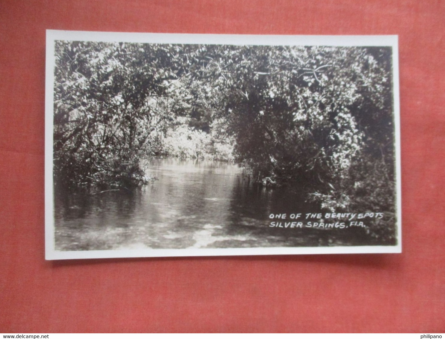 RPPC  One Of The Beauty Spots      Silver Springs  Florida >   >    Ref 4546 - Silver Springs
