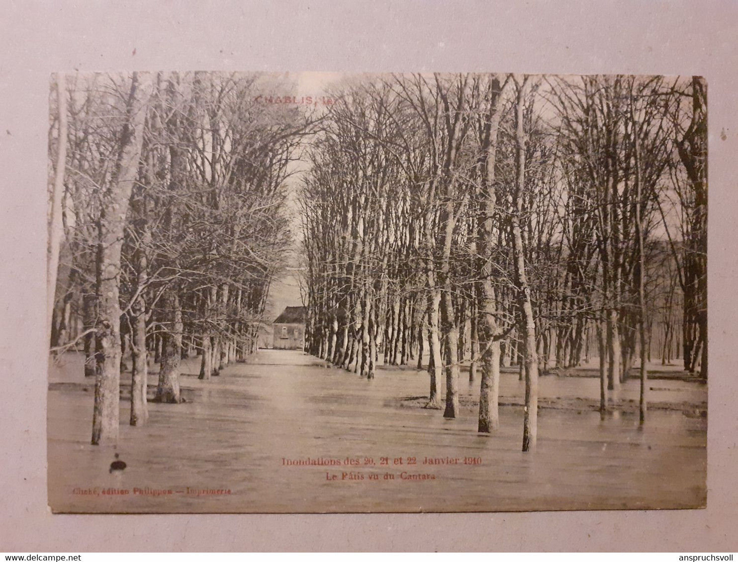 CPA - 89 - CHABLIS - Inondations Des 20, 21 Et 22 Janvier 1910 - Le Pâtis Vu Du Cantara - Chablis