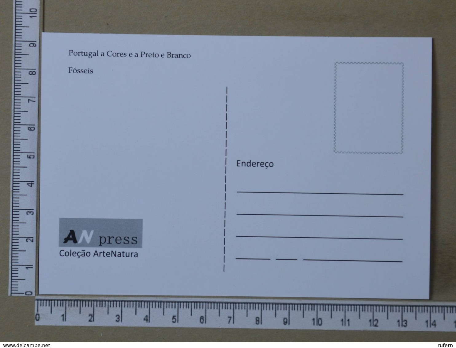 PORTUGAL - FOSSÉIS -  PROTOGRAMMOCERAS -   2 SCANS     - (Nº39271) - Otros & Sin Clasificación