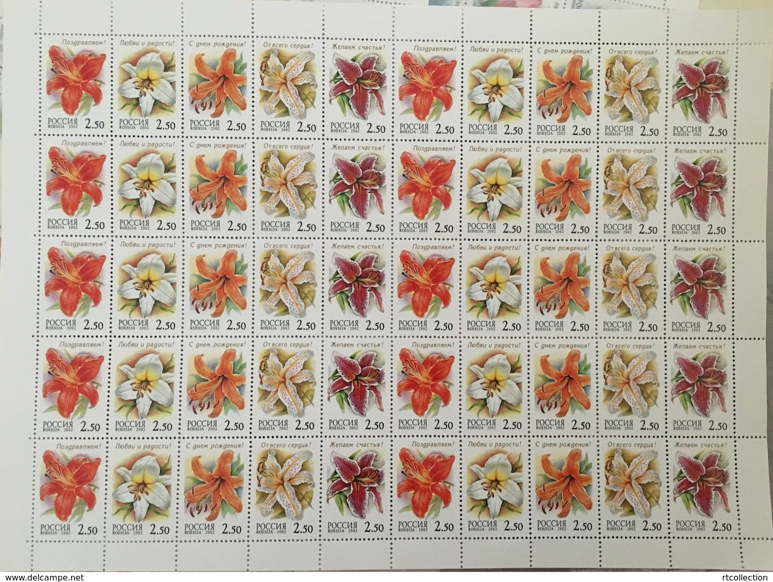 Russia 2002 Sheet Lilies Nature Flowers Plants Flora Flower Plant Gilded Lily Regal Cinnabar Lily Stamps MNH Mi 966-970 - Fogli Completi