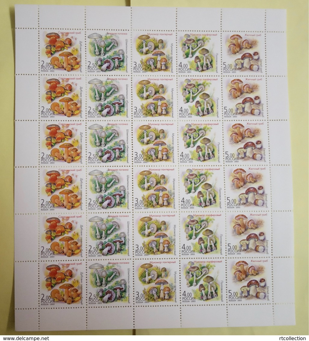 Russia 2003 Sheet Twin Mushrooms Plants Plant Mushroom Nature Flora Fungi Stamps MNH Michel 1108-1112 - Fogli Completi