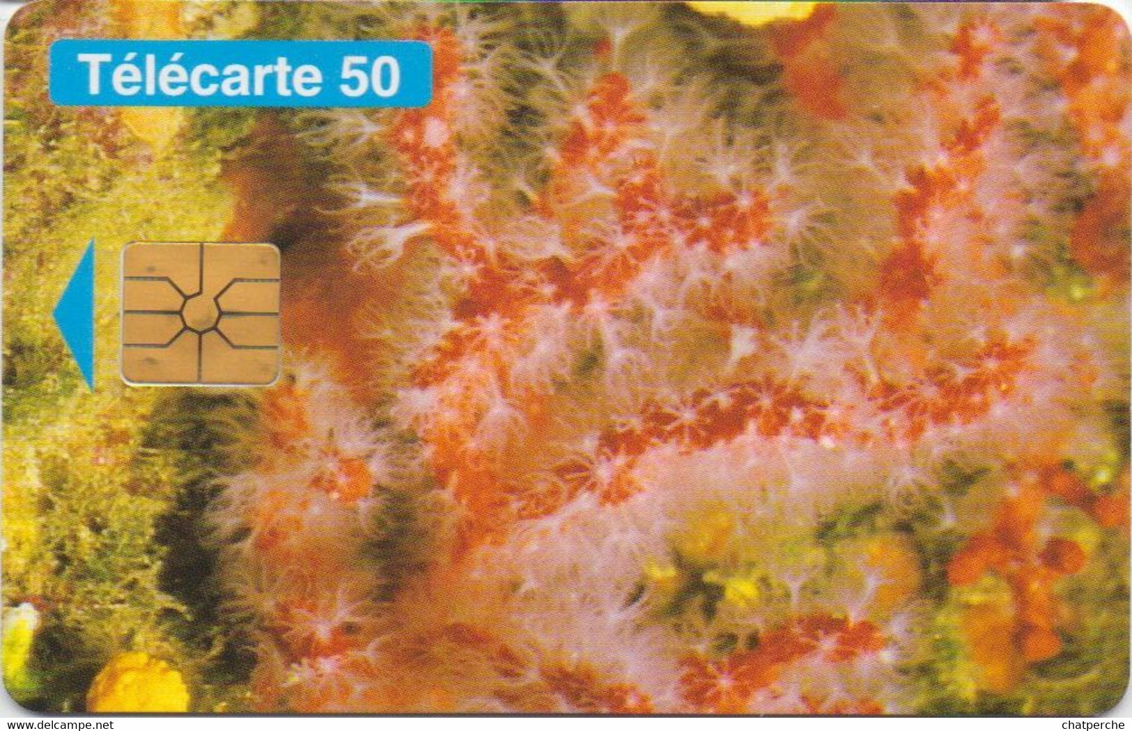 TÉLÉCARTE PHONECARD MONACO XX EME ANNIVERSAIRE ASSOCIATION PROTECTION NATURE 50 UNITÉS  UTILISÉE PLANCTON - Monaco