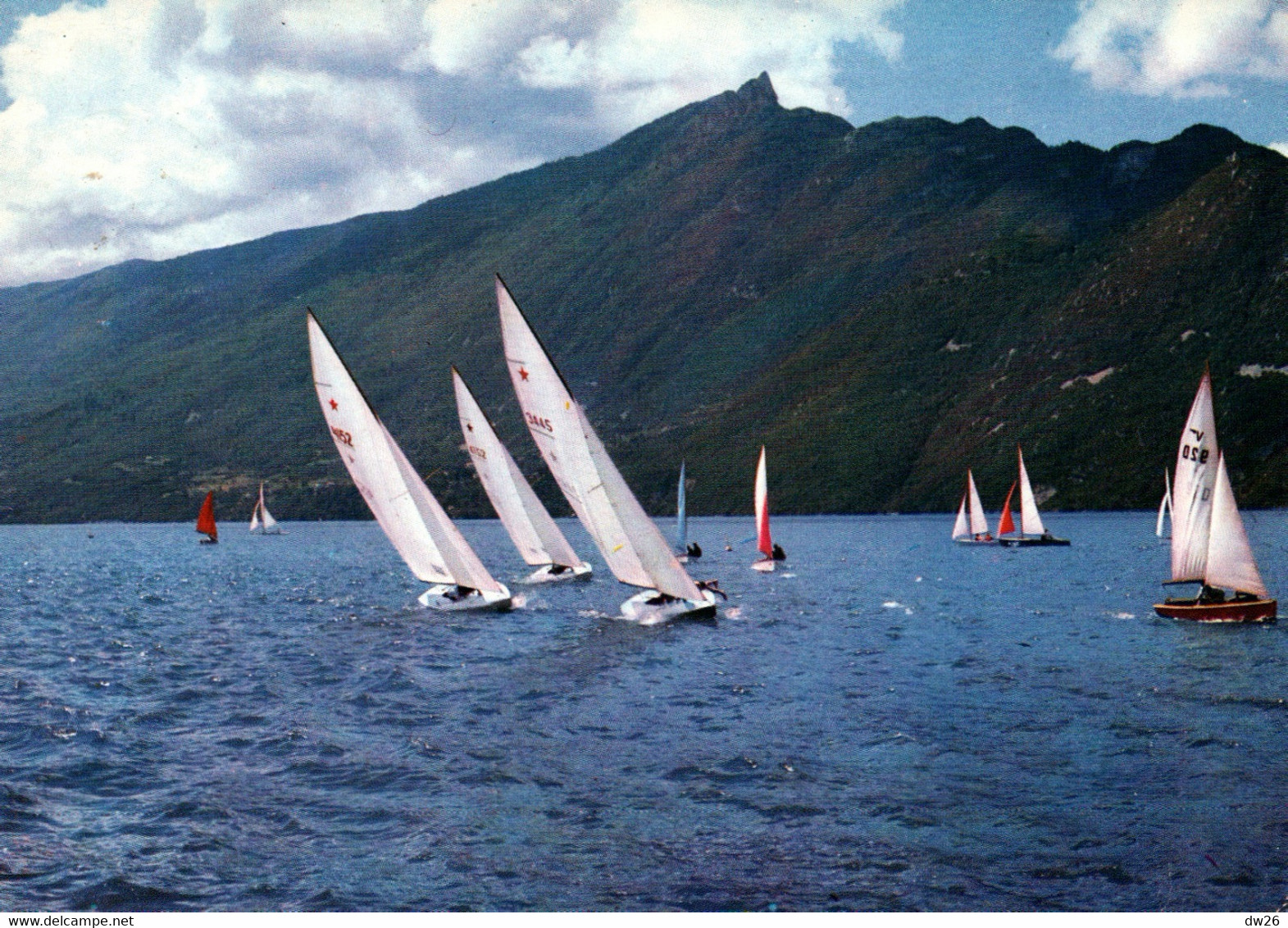 Sports Voile: Régates à Voiles Sur Le Lac Du Bourget Et La Dent Du Chat, Quillards Star - Carte Télé N° 529 - Voile