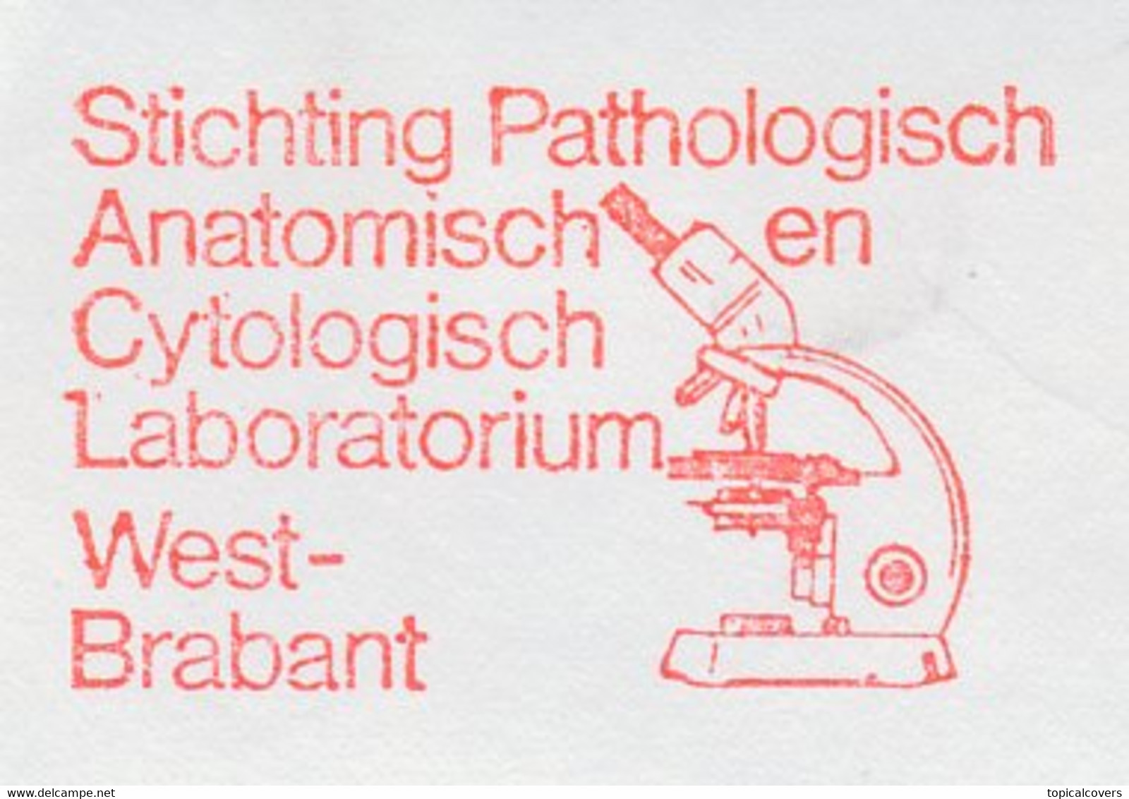 Meter Cut Netherlands 1989 Pathological Anatomical Cytological Laboratory - Microscope - Andere & Zonder Classificatie