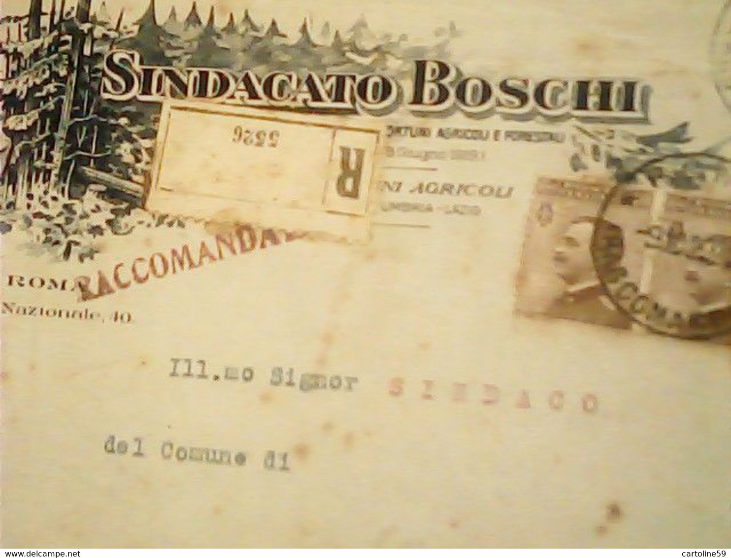 BUSTA  Roma X Labro PG Sindacato Boschi Agricoltura E Foreste VB1920 COPPIA 40 C MICHETTI HV2519 - Other & Unclassified