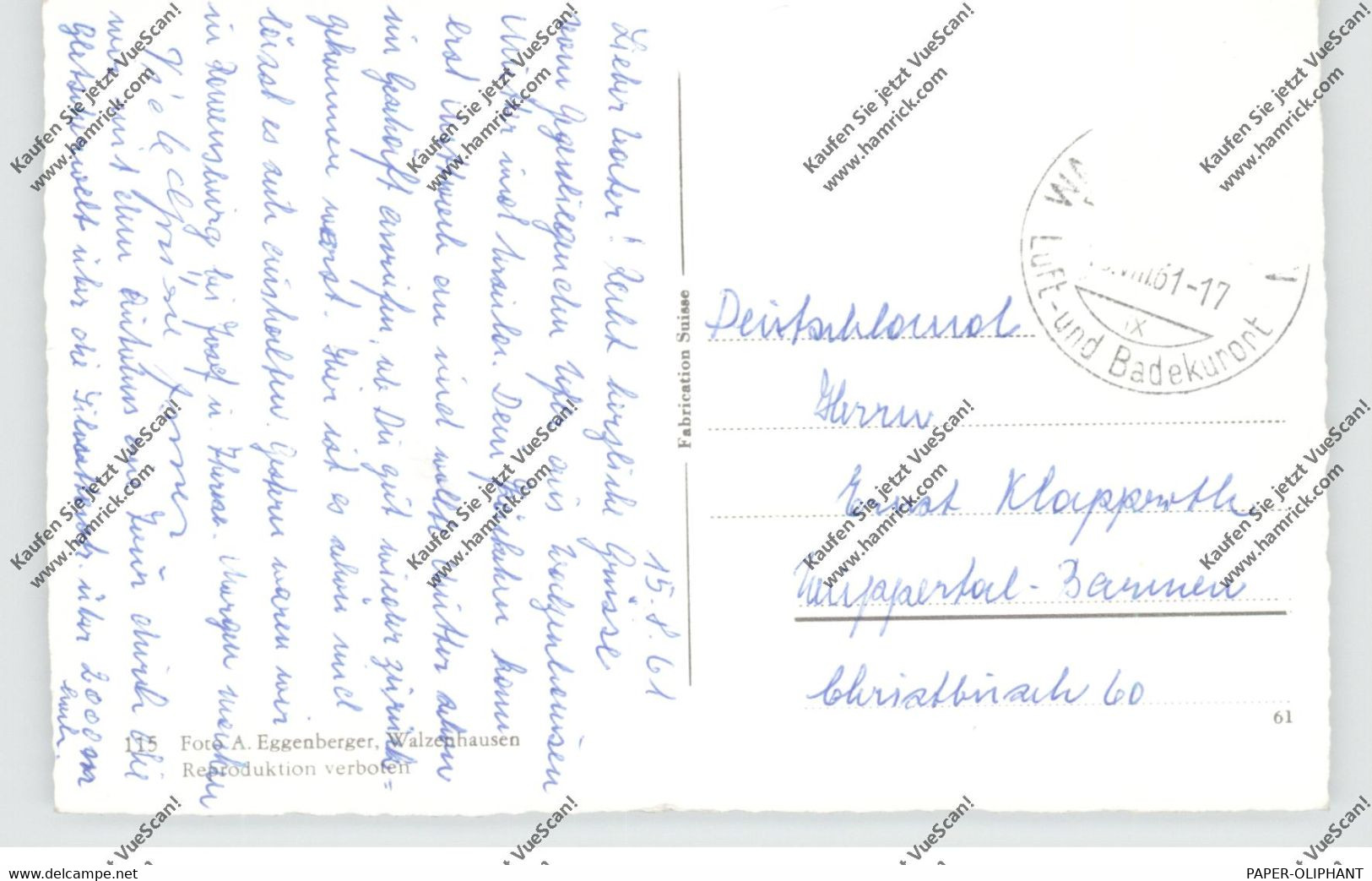 CH 9428 WALZENHAUSEN AA, Blick Vom Alten Rhein, Personenschiff, 1961 - Walzenhausen