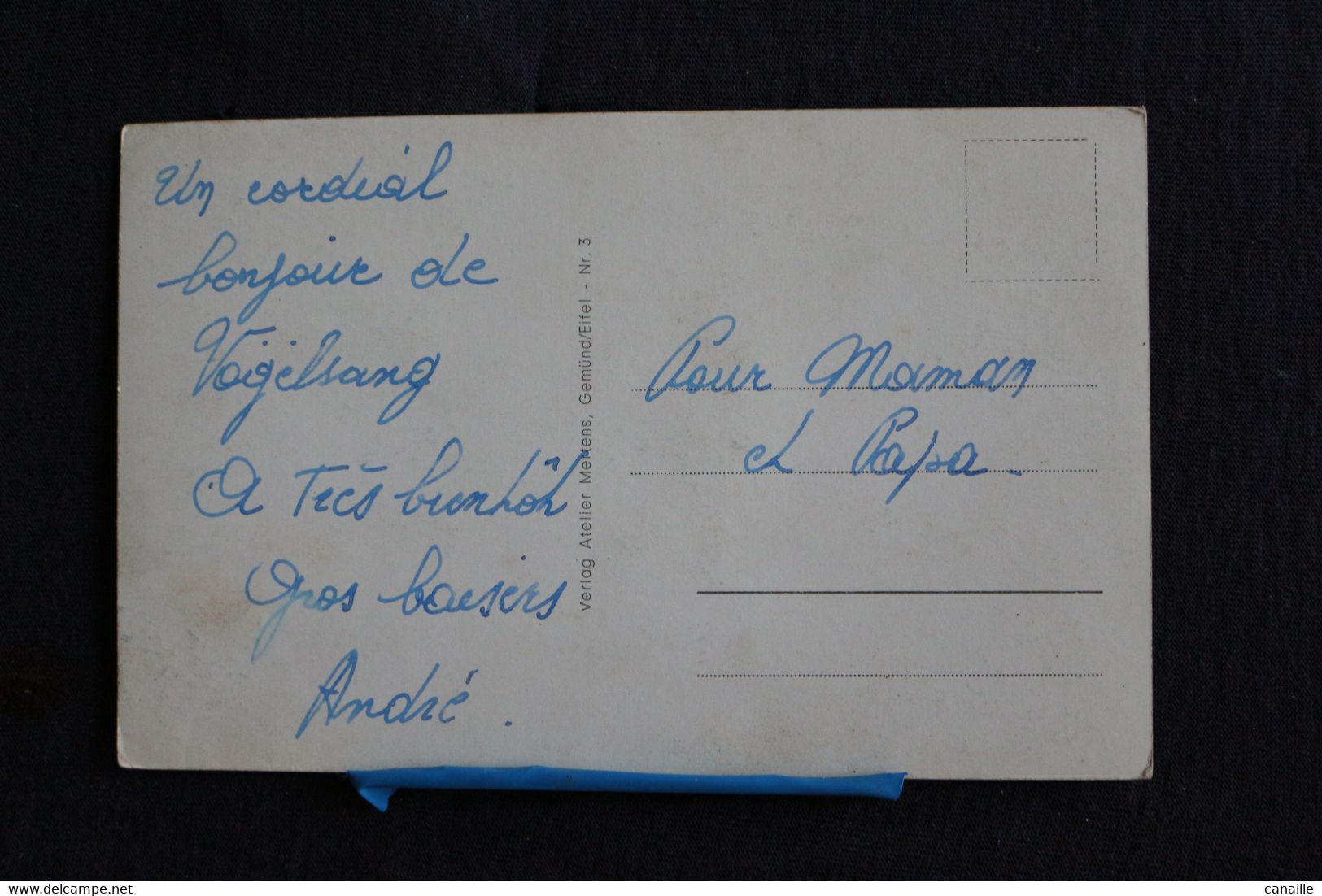 J*80 / Allemagne - Rhénanie-du-Nord-Westphalie  Schleiden,  Teilansicht Burg Vogelsang Mit Urftsee / Circule 19? - Schleiden