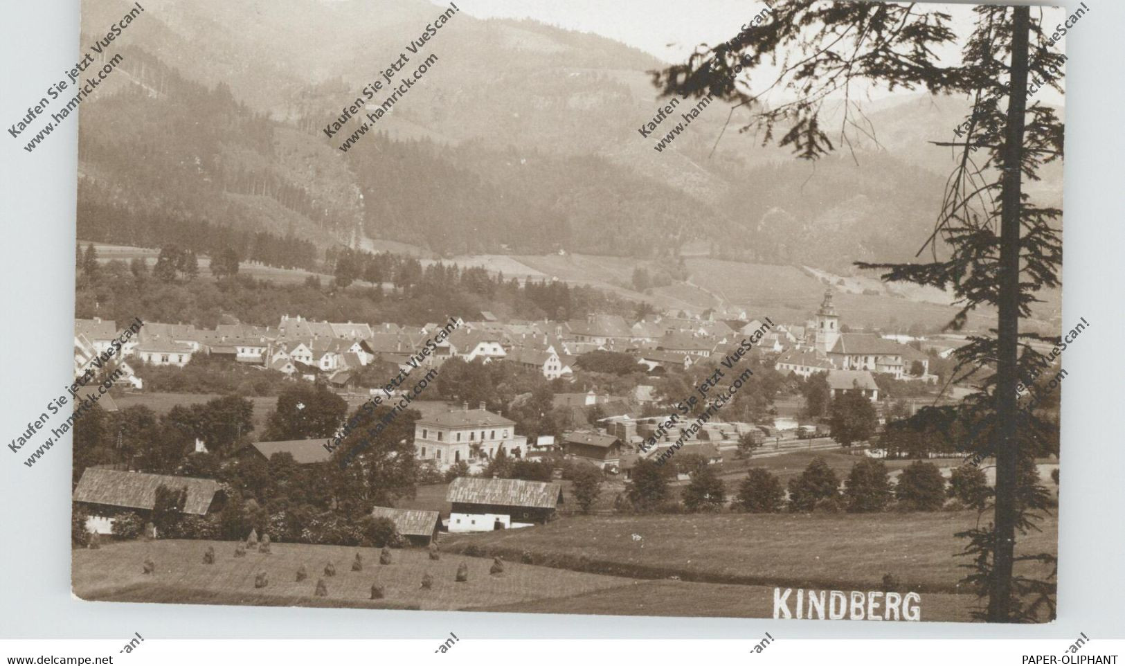 A 8650 KINDBERG, Gesamtansicht, Photo-AK - Kindberg