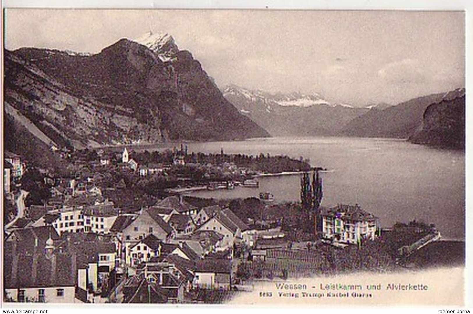 04296 Ak Schweiz Weesen Leistkamm Und Alvierkette 1910 - Weesen