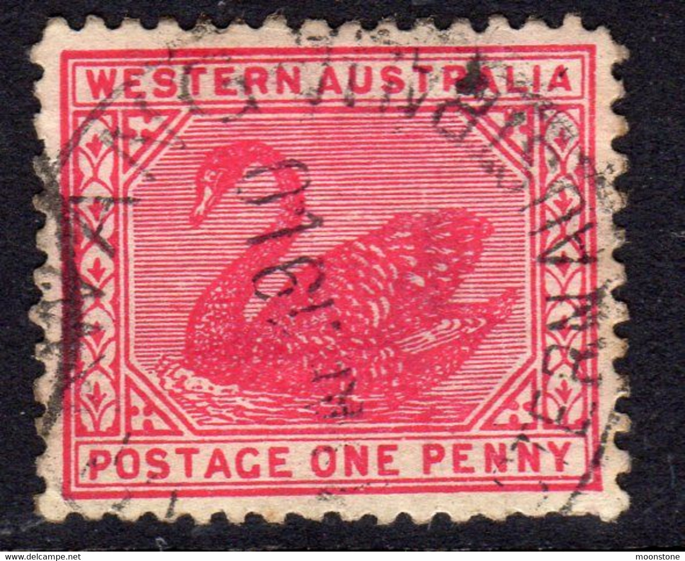 Australia Western Australia 1905-12 1d Rose-pink Swan, Used, SG 139 - Gebraucht