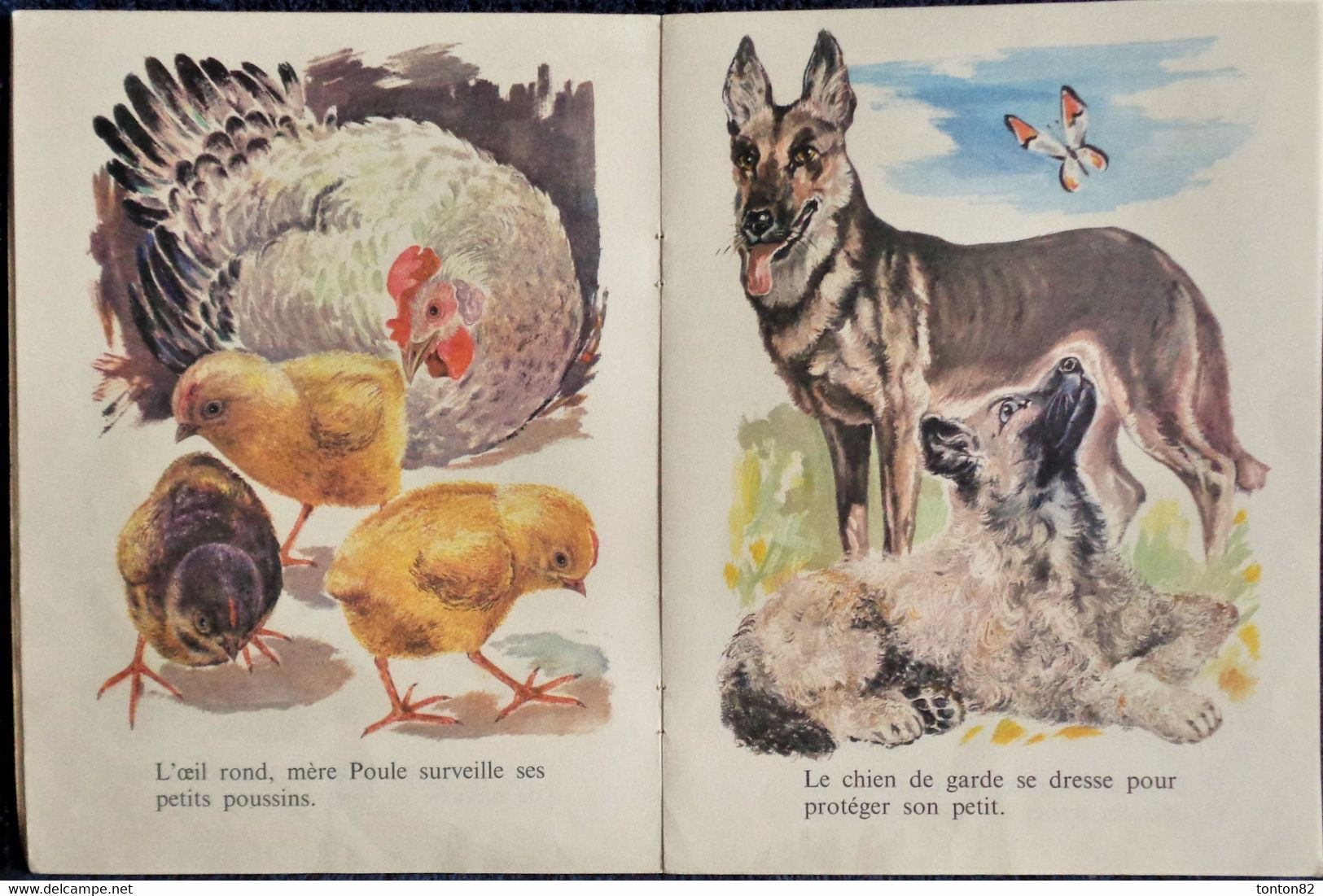 André Jourcin - Nos Bons Amis - Éditions BIAS - Collection " Belles Images " - ( 1966 ) . - Bibliothèque Rouge Et Or