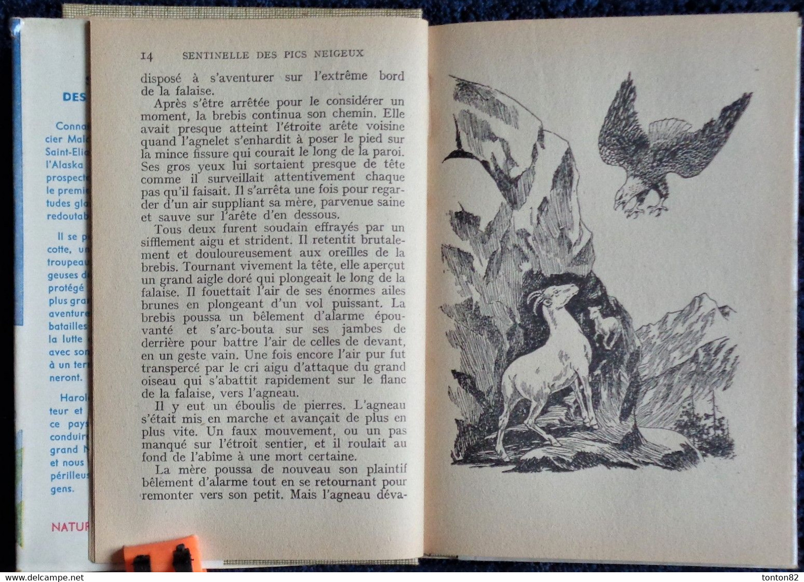 Éditions De L'Amitié / Collection " Heures Joyeuses " N° 43 - Sentinelle Des Pics Neigeux - H. Mc. Cracken  - ( 1954 ) . - Bibliothèque De L'Amitié