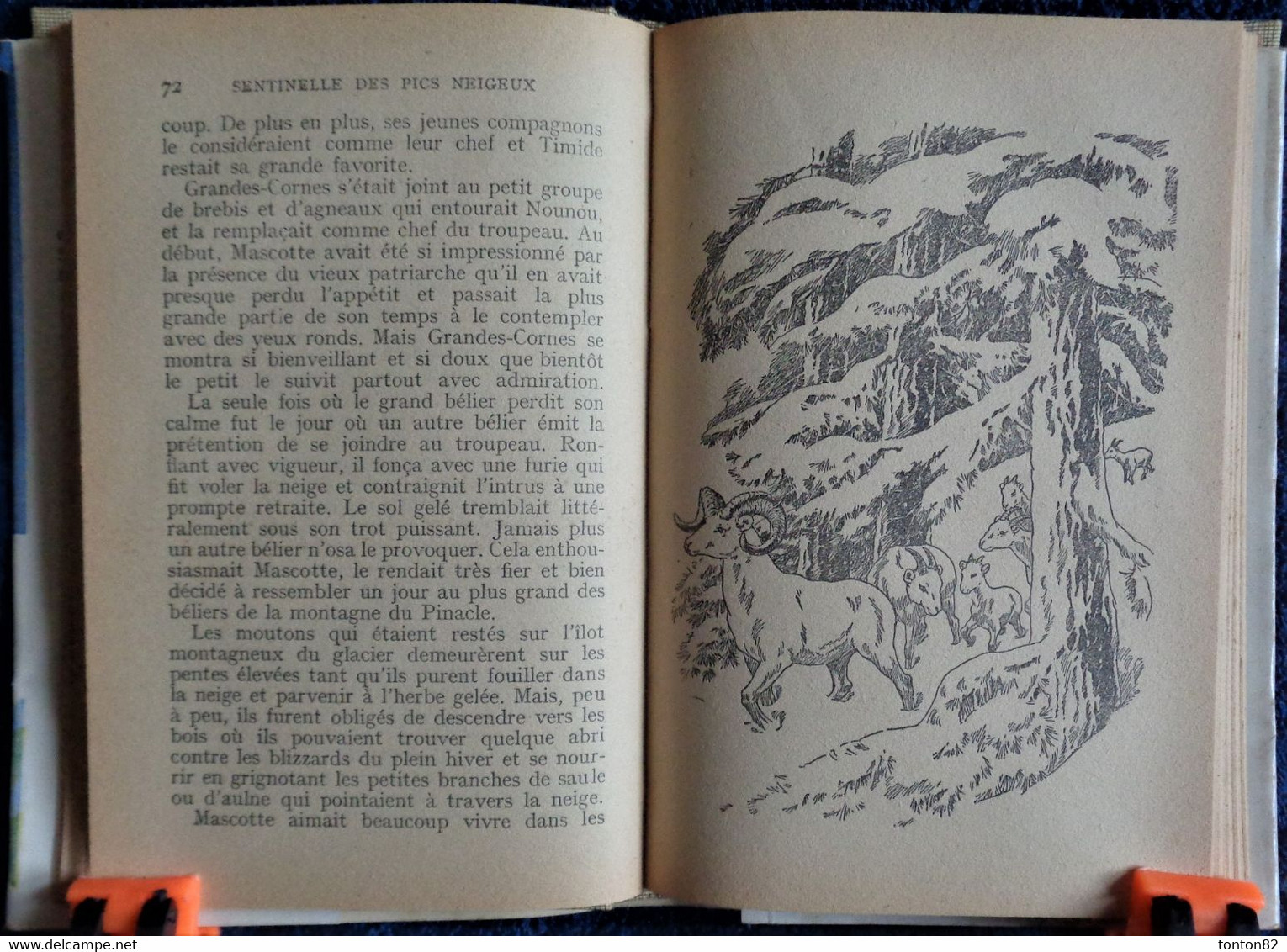 Éditions De L'Amitié / Collection " Heures Joyeuses " N° 43 - Sentinelle Des Pics Neigeux - H. Mc. Cracken  - ( 1954 ) . - Bibliotheque De L'Amitie