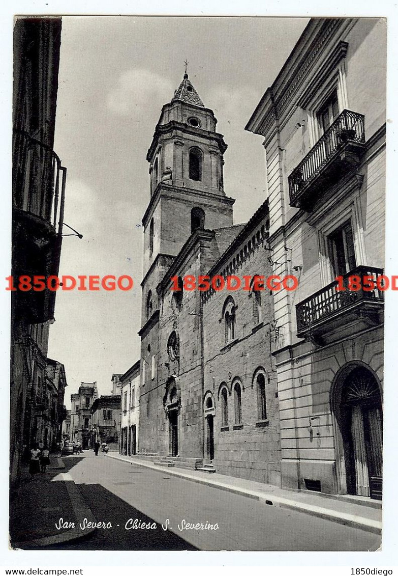 SAN SEVERO - CHIESA S. SEVERINO F/GRANDE VIAGGIATA 1959? ANIMATA - San Severo