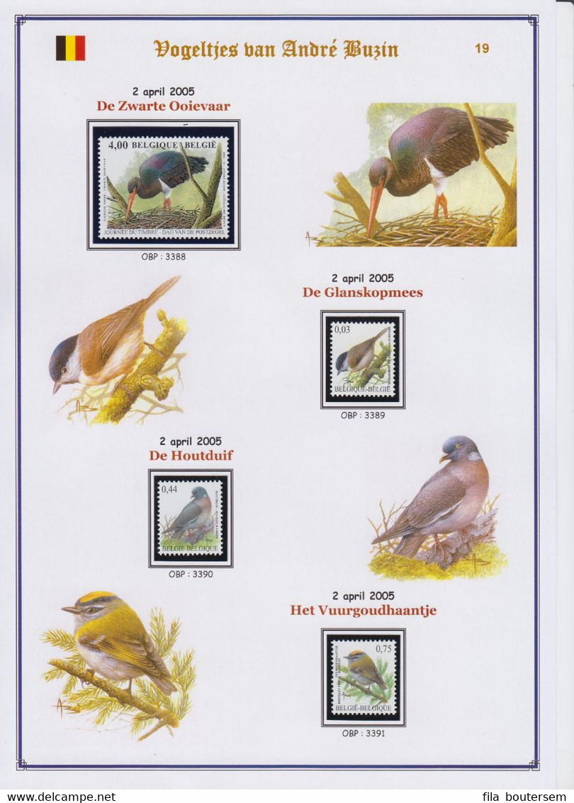 Vogeltjes van Buzin / Oiseaux de Buzin/ Birds of Buzin 1985-2010