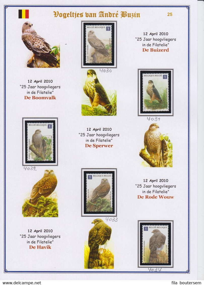 Vogeltjes van Buzin / Oiseaux de Buzin/ Birds of Buzin 1985-2010