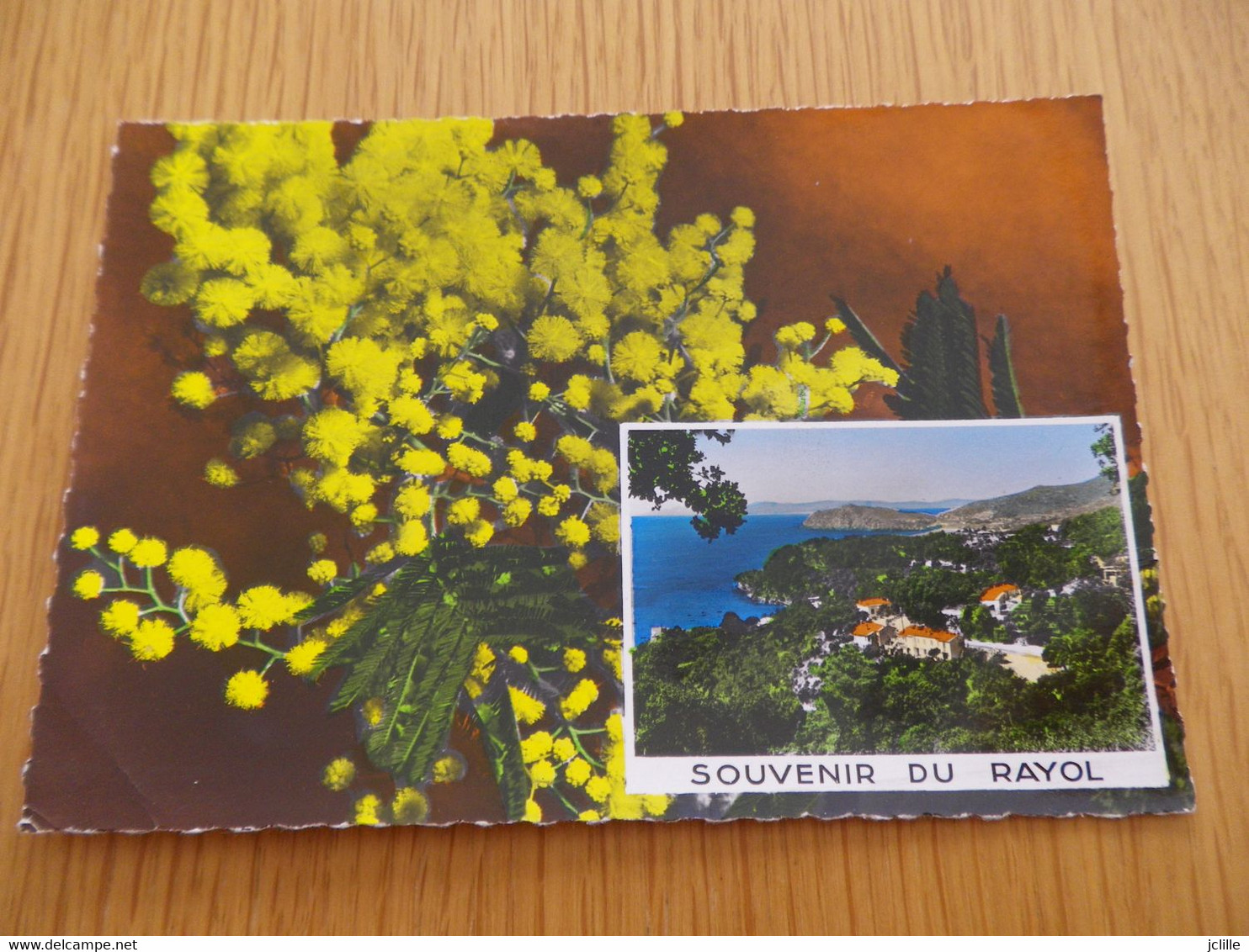 VAR - RAYOL CANADEL - N°56-47 - Vue - Mimosa - Rayol-Canadel-sur-Mer