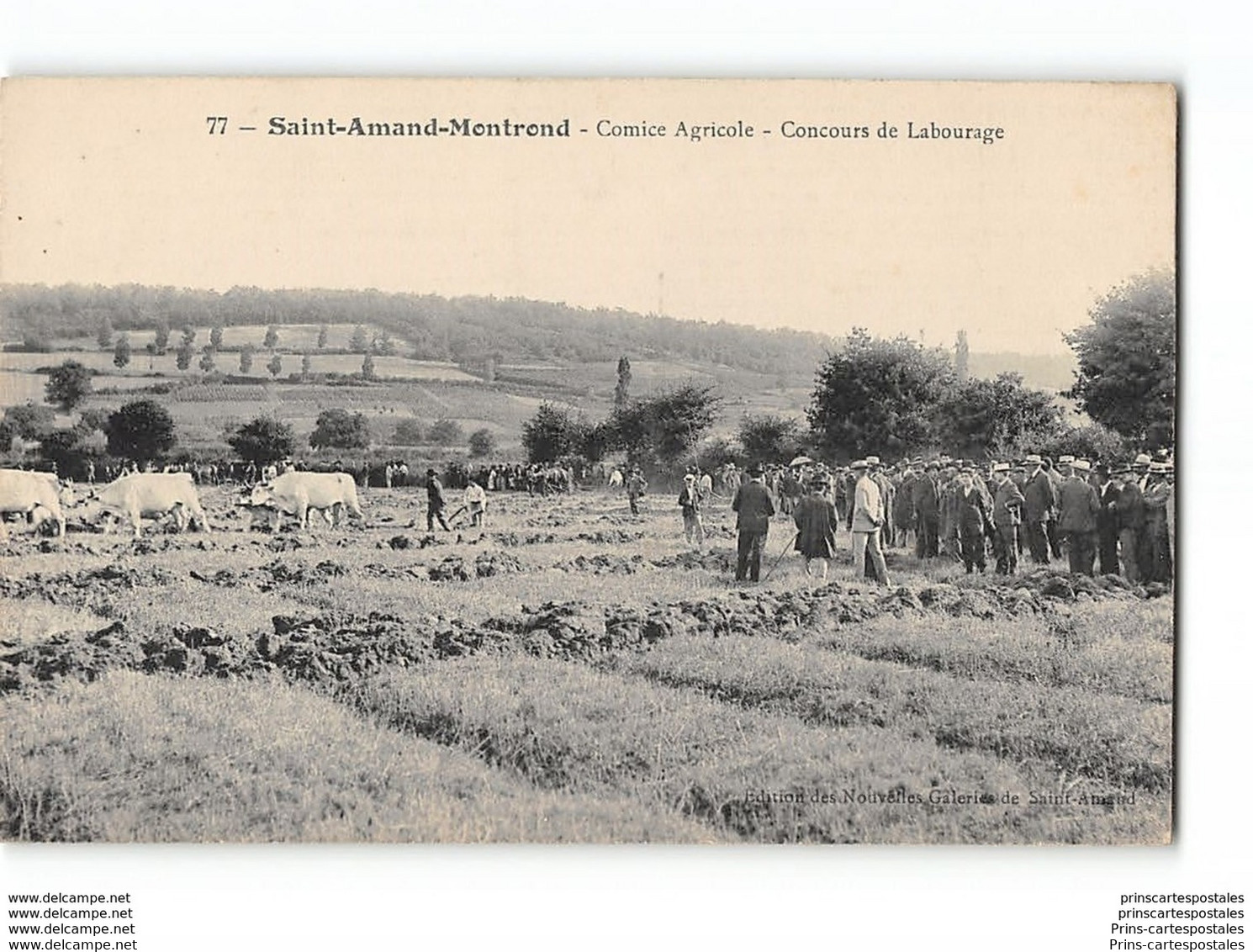 CPA 18 Saint Amand Montrond Comice Agricole Concours De Labourage - Saint-Amand-Montrond