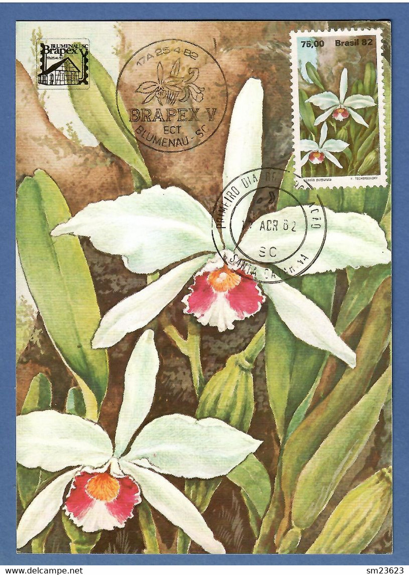Brasilien  1982 , Serie Fauna  Blumen Laelia Purpurata - Maximum Card Nr. 027810 - First Day  17.4.82 - Cartoline Maximum