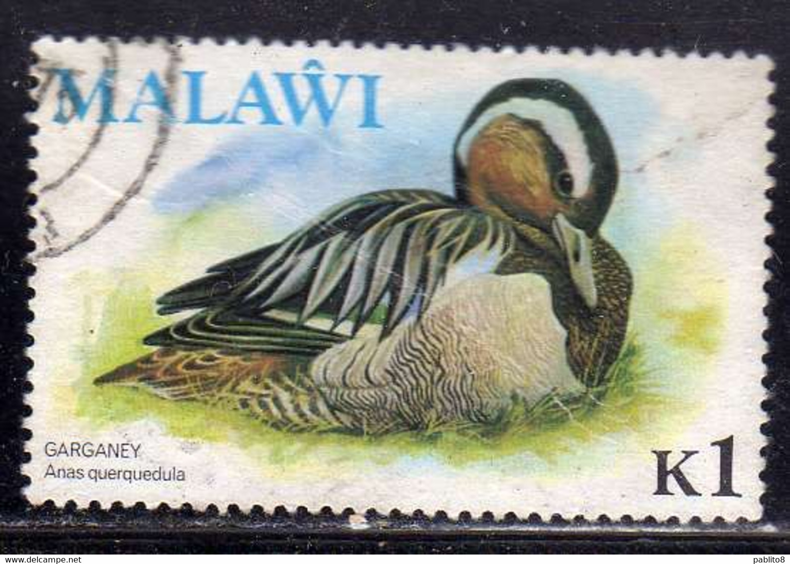 MALAWI 1975 BIRDS FAUNA AVICOLA GARGANEY DUCK BIRD MARZAIOLA ANATRA UCCELLO 1k USED USATO OBLITERE' - Malawi (1964-...)